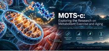 MOTS-c: Exploring the Research on Metabolism, Exercise and Aging