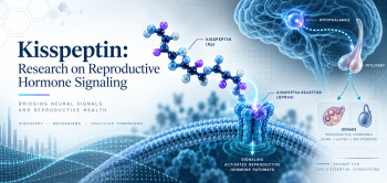 Kisspeptin: Research on Reproductive Hormone Signaling