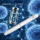 Immune & Thymic