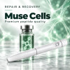 Muse Cells | Multilineage Stress-Enduring Cell